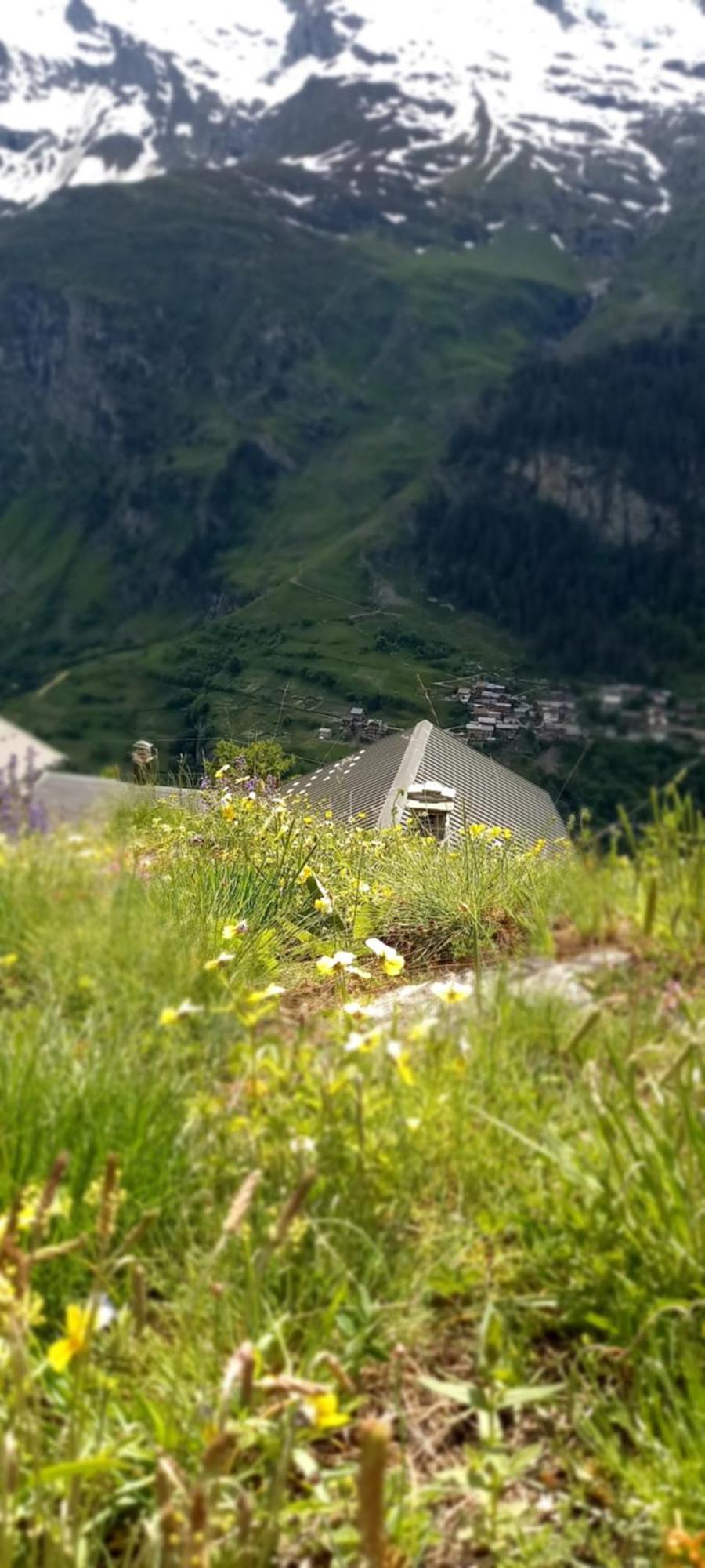 Les Campanules Bourg-Saint-Maurice Exterior foto